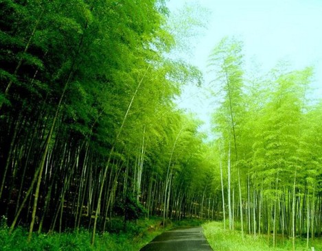 不同思维，决定了不同的人生