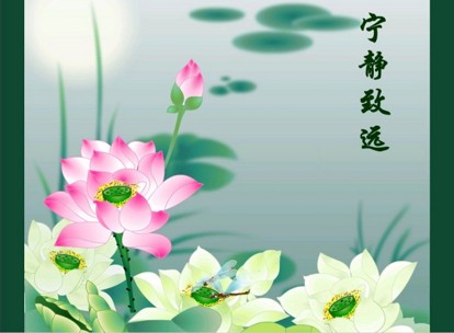 学佛就是把心顾好